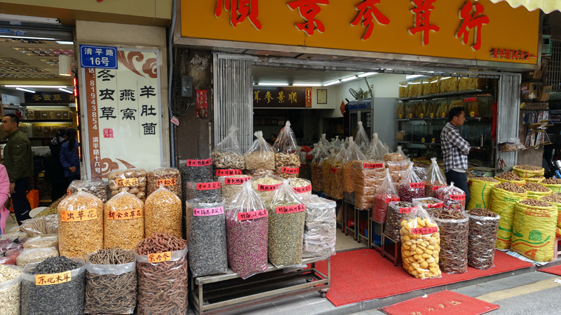 2017-04-13_115924 china-2017.jpg - Kanton - Heilkrutermarkt